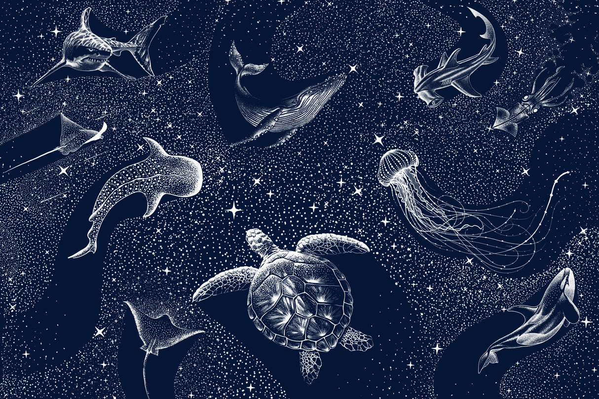 Cosmic Ocean Poster och Canvastavla