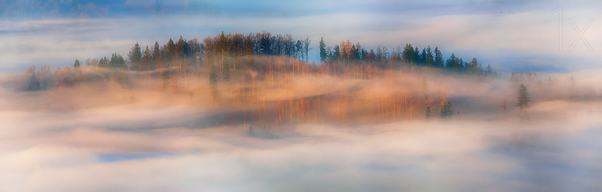 in the morning mists Poster och Canvastavla