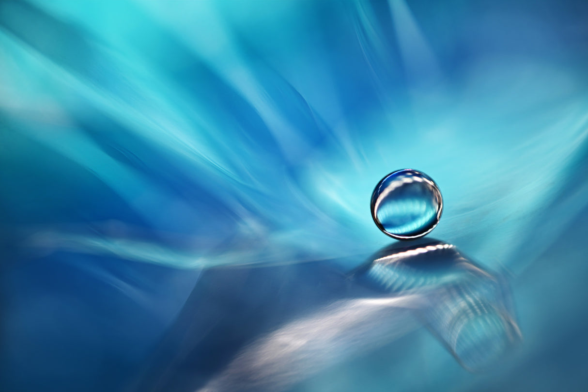 Zen zone Poster och Canvastavla