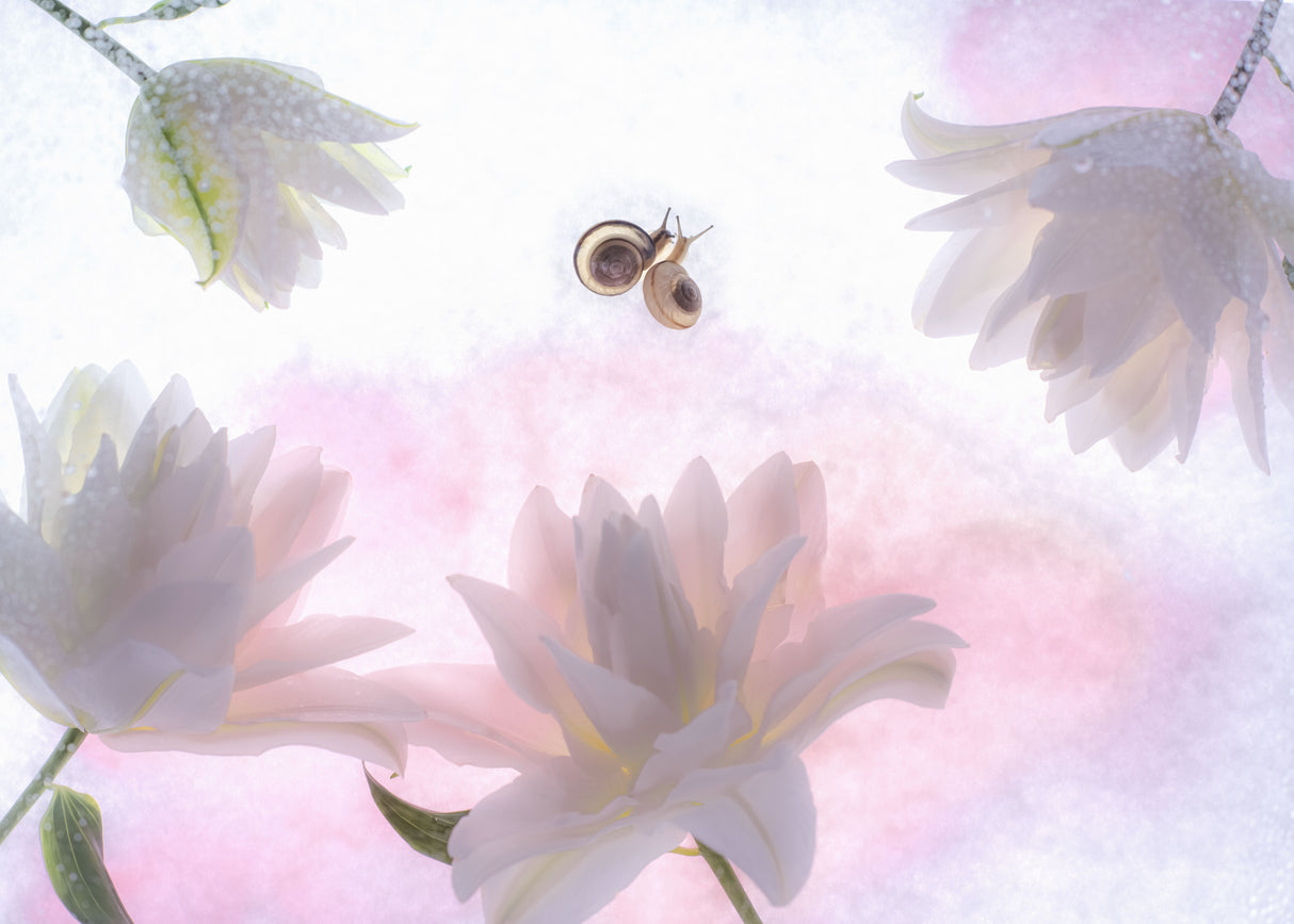 sweet poetry Poster och Canvastavla