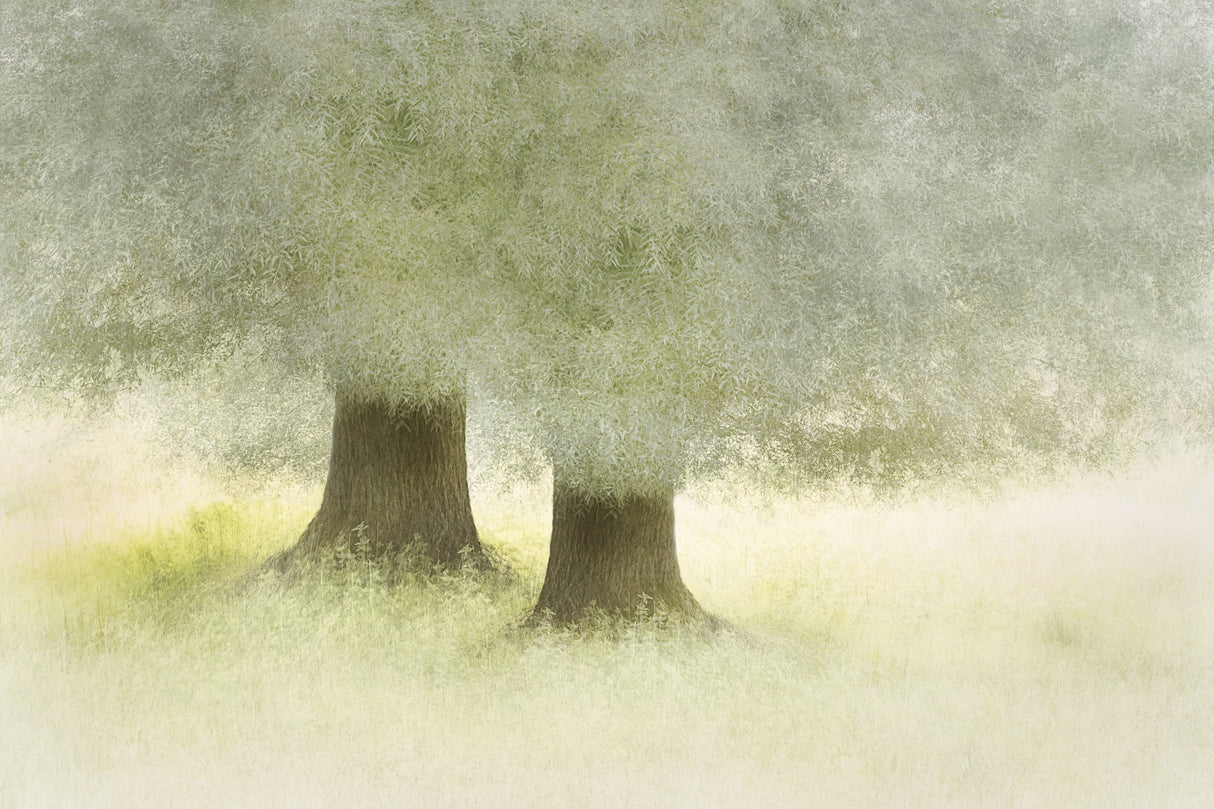 Friendship Poster och Canvastavla