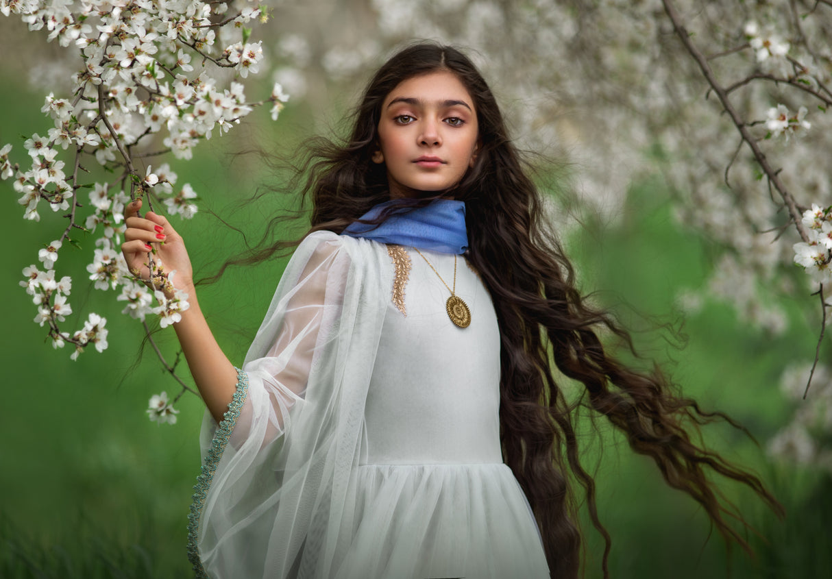 Springtime Poster och Canvastavla