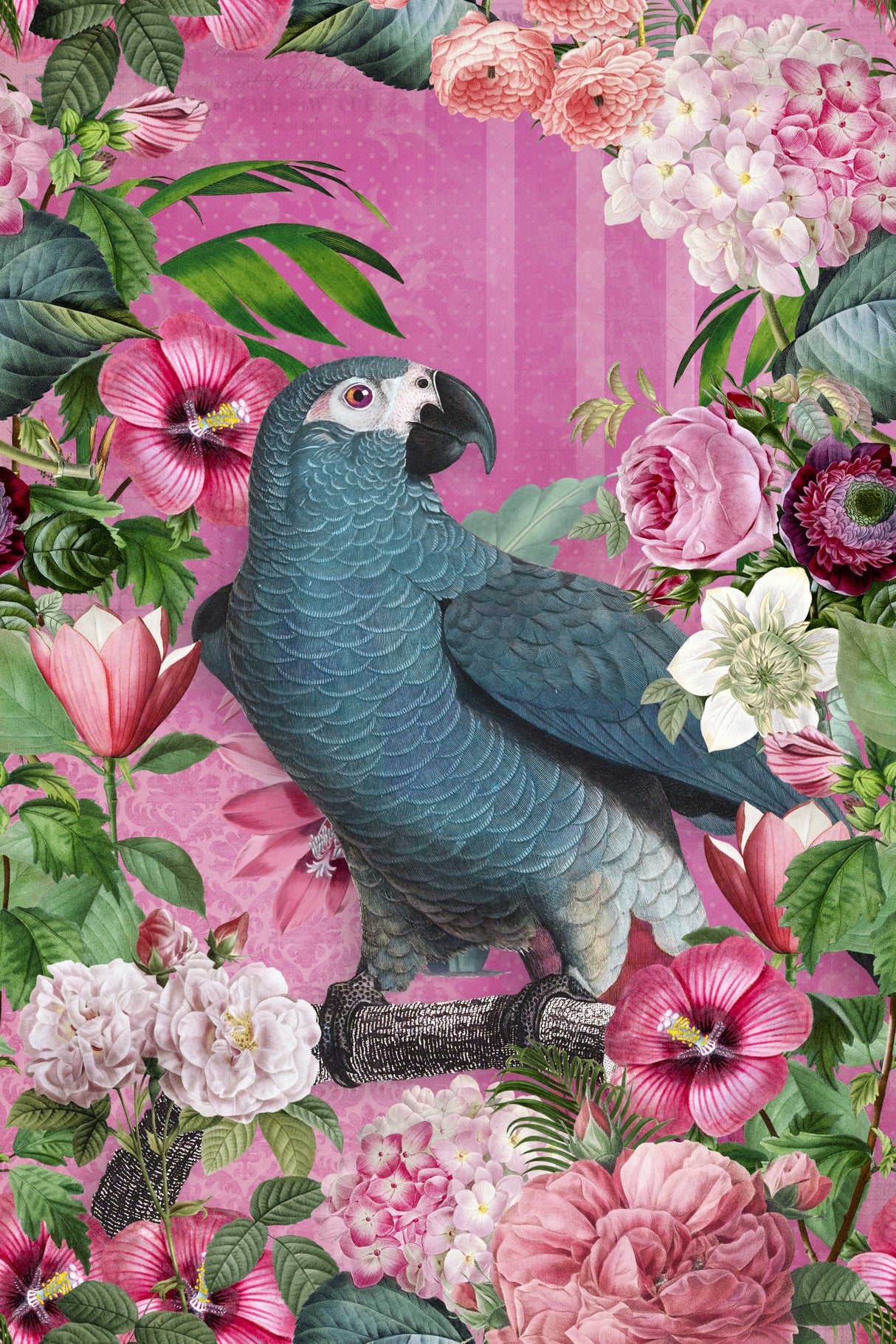 The Parrots Paradise Garden 2 Poster och Canvastavla
