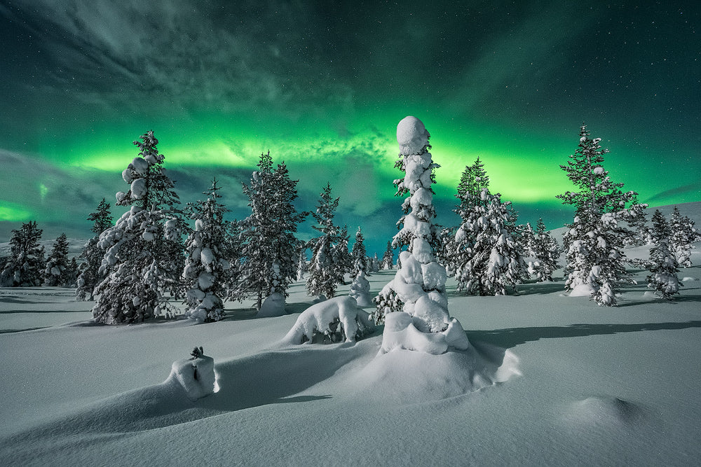 polar night Poster och Canvastavla