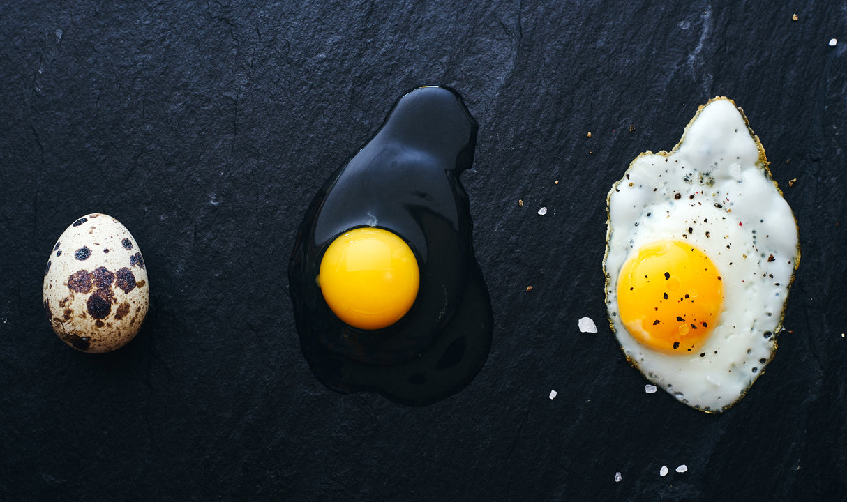 The Egg Way Poster och Canvastavla