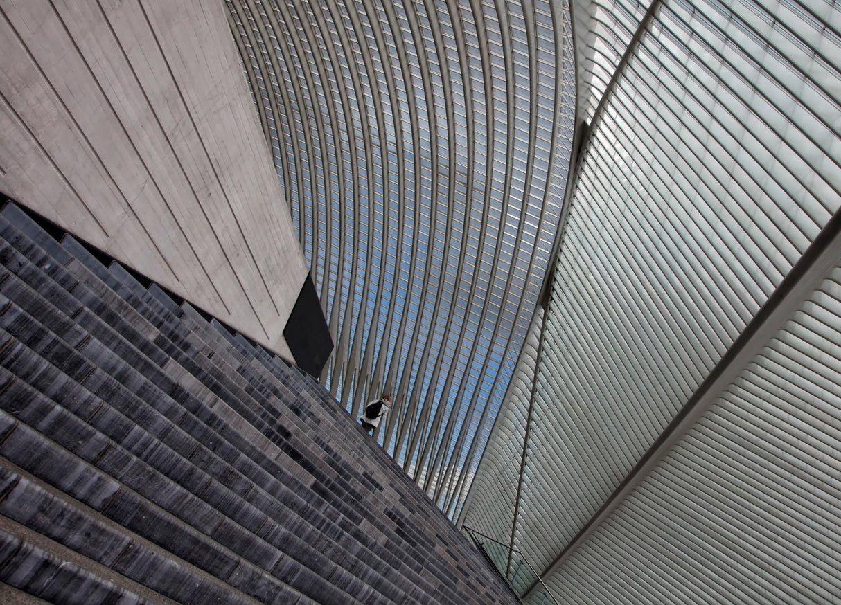 Liège-Guillemins Poster och Canvastavla
