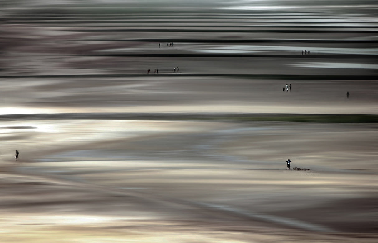 Low tide Poster och Canvastavla