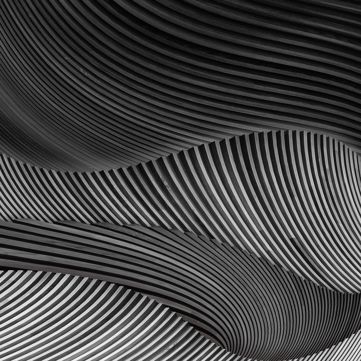 The wood project VI - Storm Poster och Canvastavla