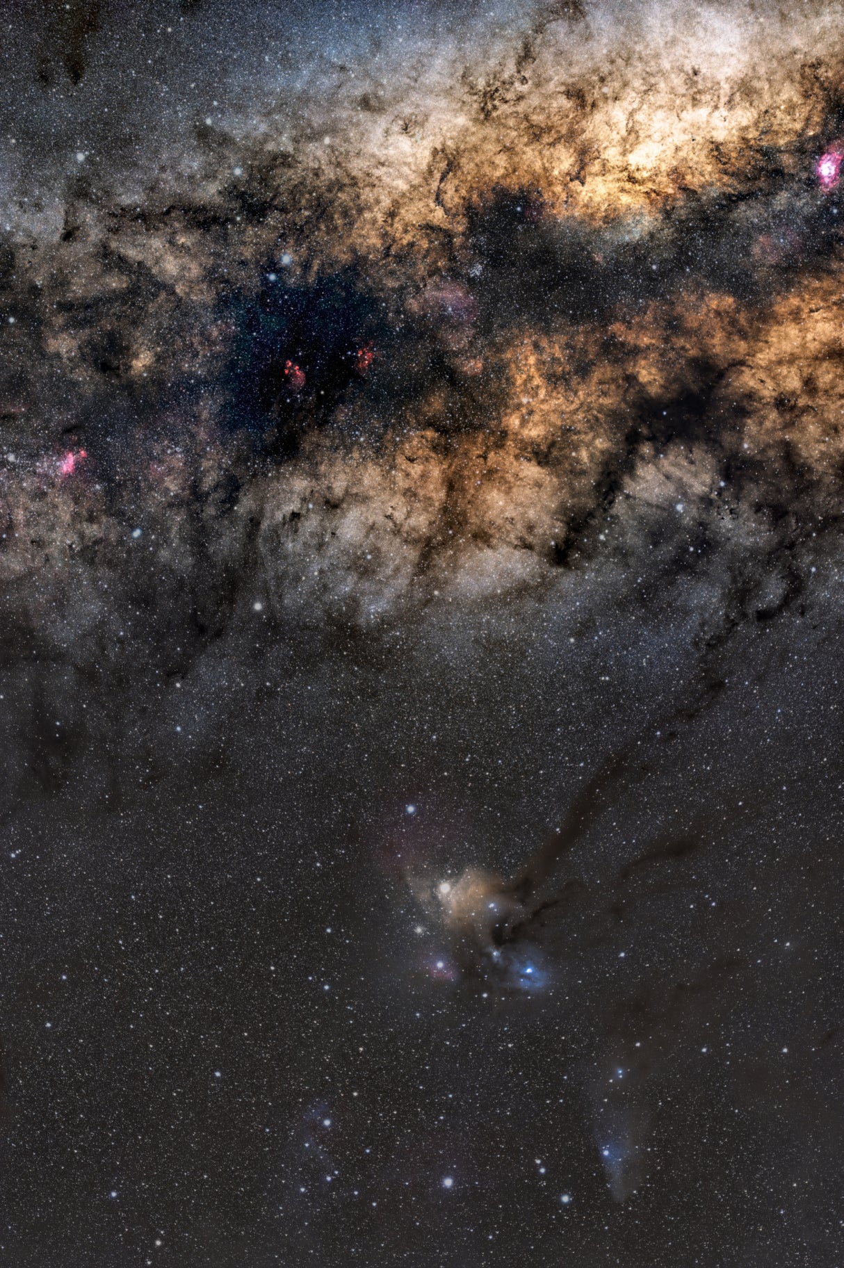 Rho Ophiuchi and Antares region Poster och Canvastavla