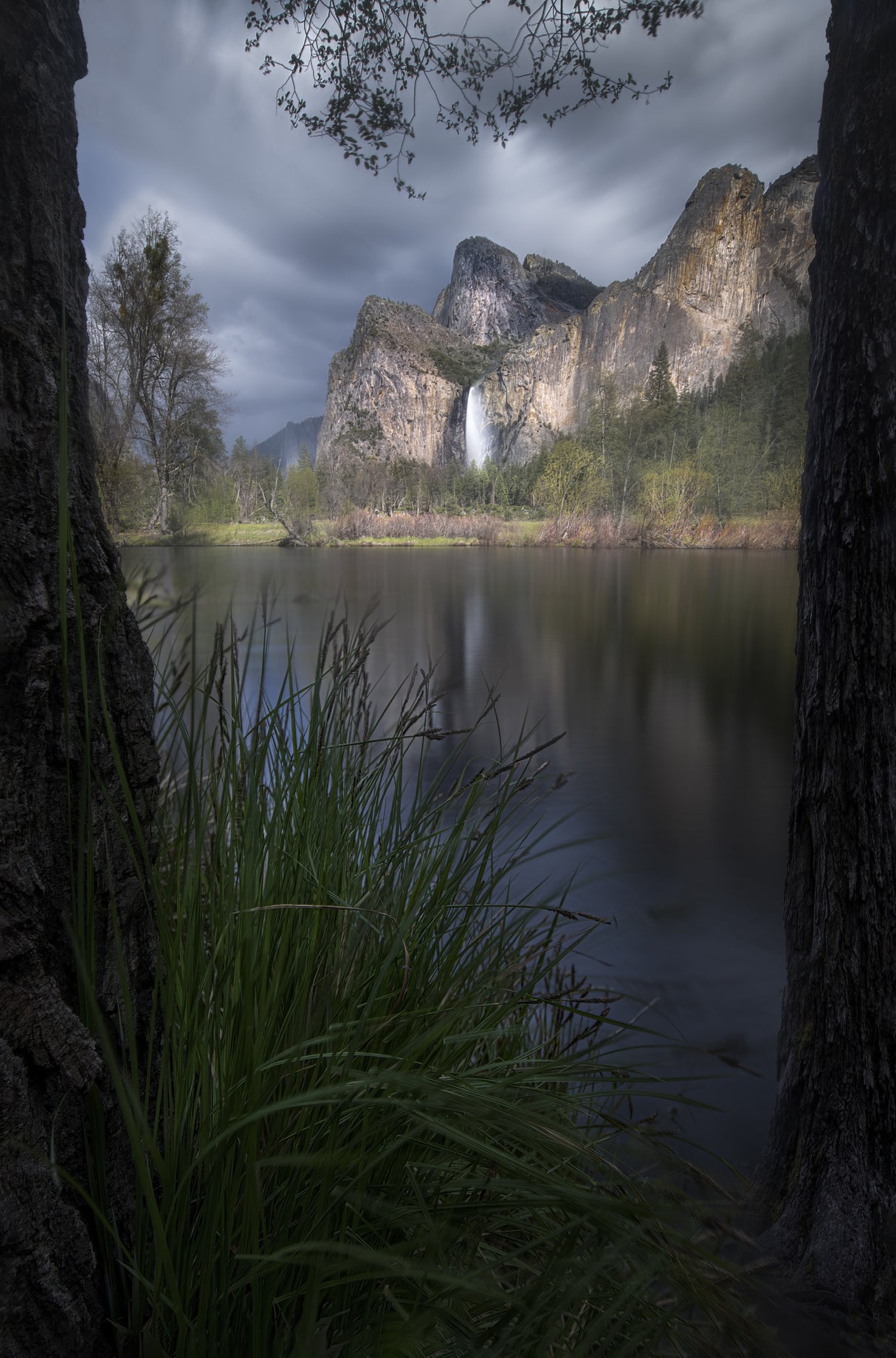 Yosemite NP Poster och Canvastavla