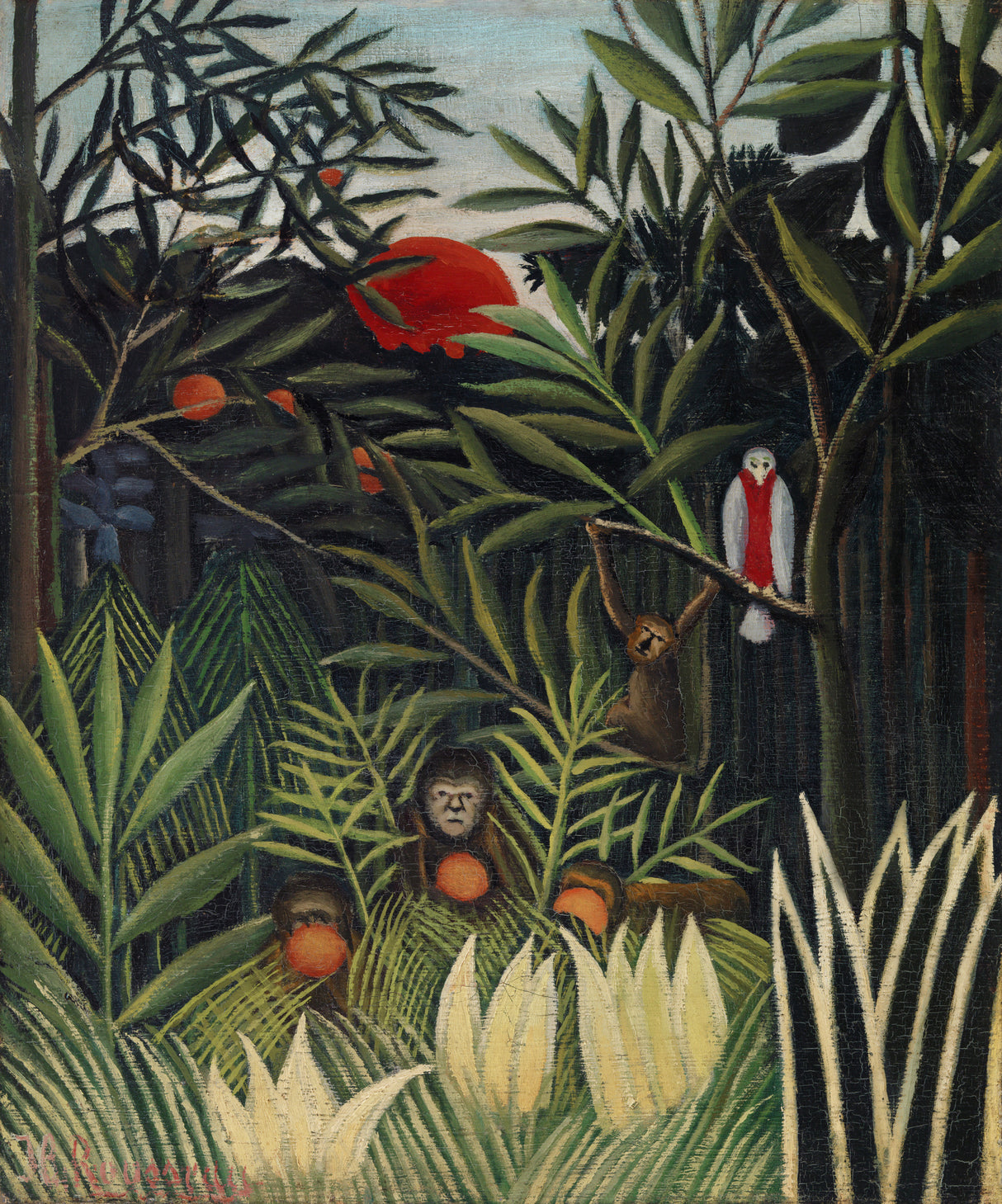 Monkeys And Parrot In The Virgin Forest Poster och Canvastavla