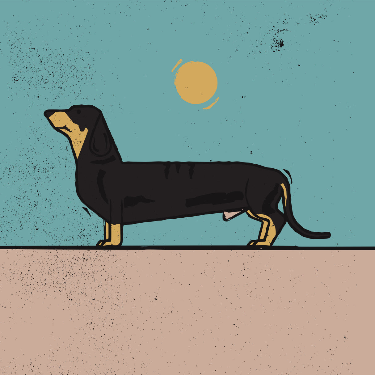 Dachshund Poster och Canvastavla