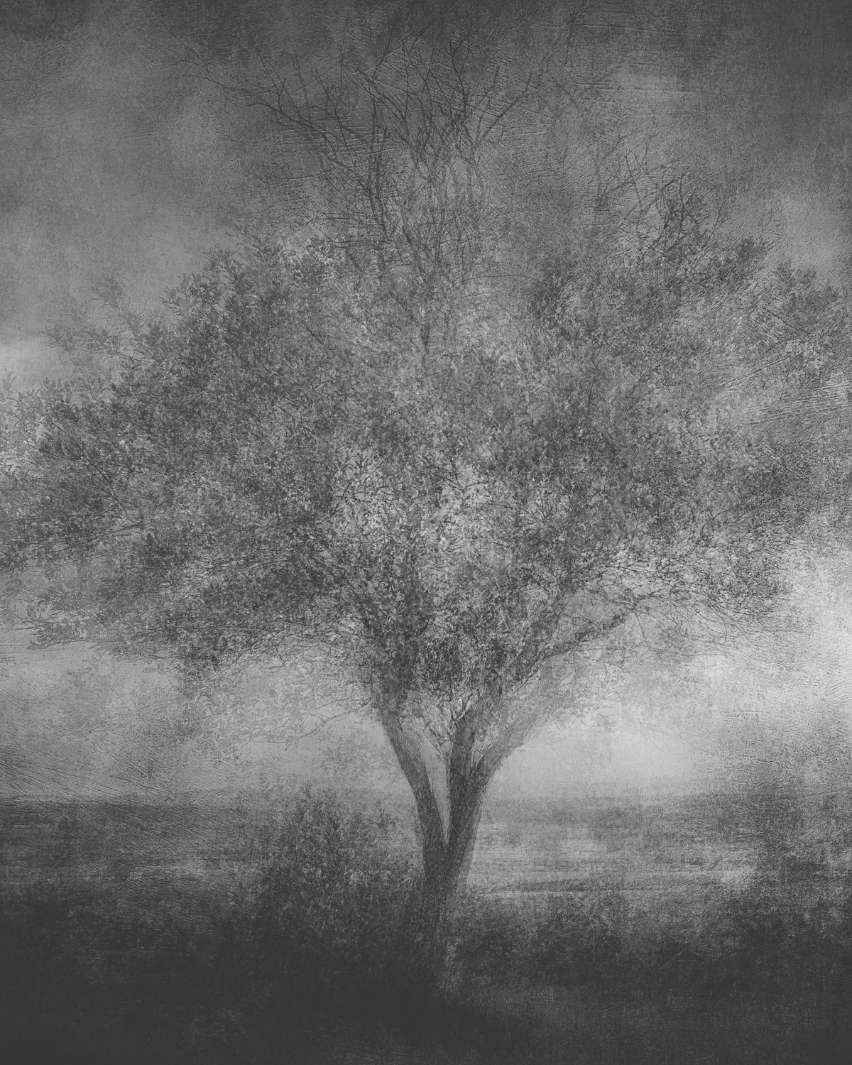 Reminisce Poster och Canvastavla