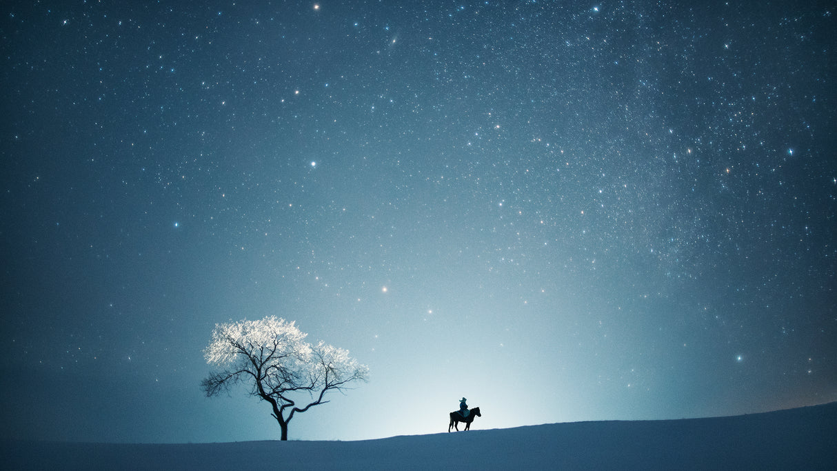 A starry night Poster och Canvastavla