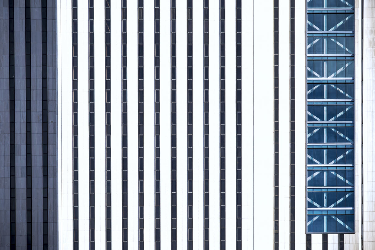 lines and crosses Poster och Canvastavla