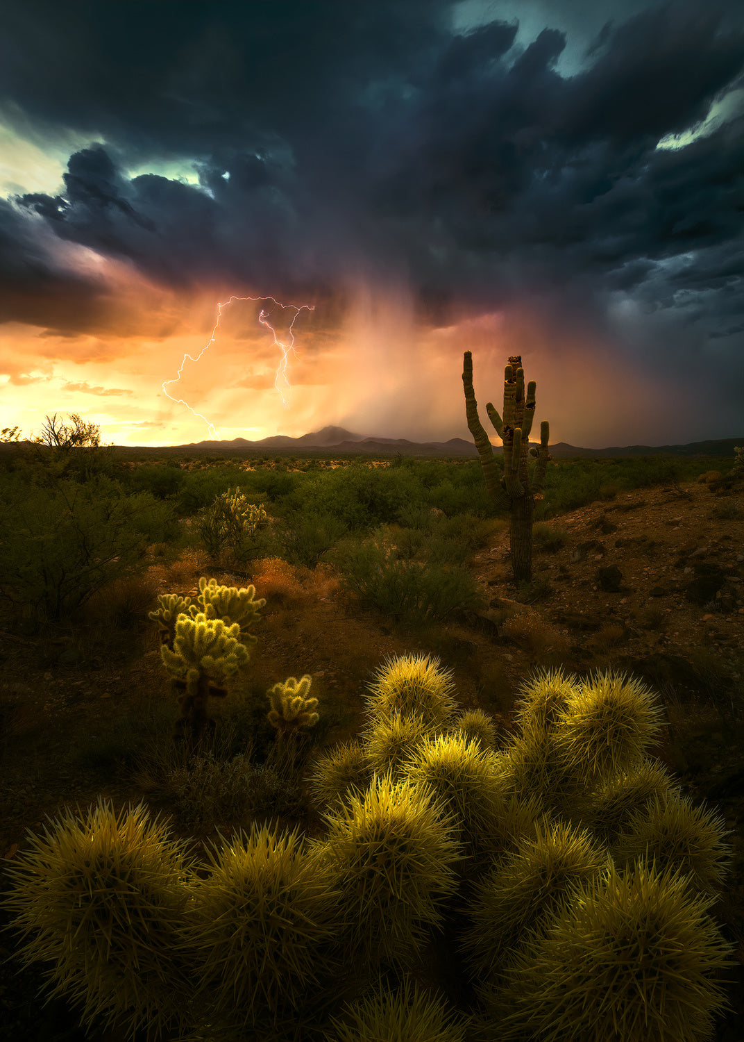 Storm over desert Poster och Canvastavla
