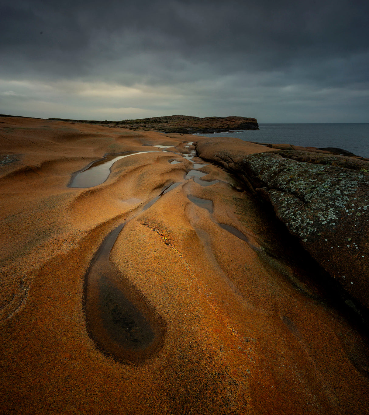 coastal Landscape Poster och Canvastavla