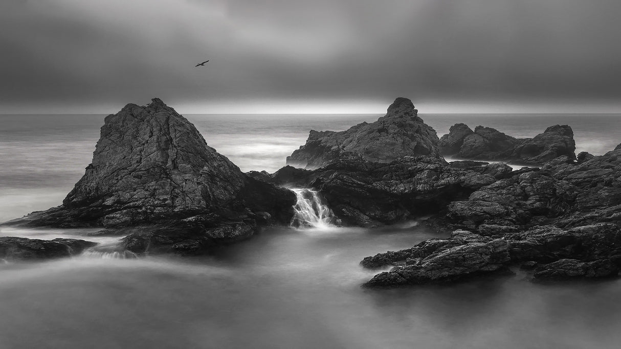 Big Sur Poster och Canvastavla