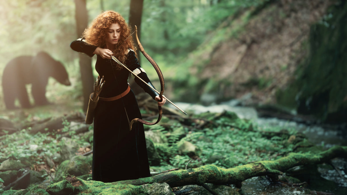 Merida - The Brave Poster och Canvastavla