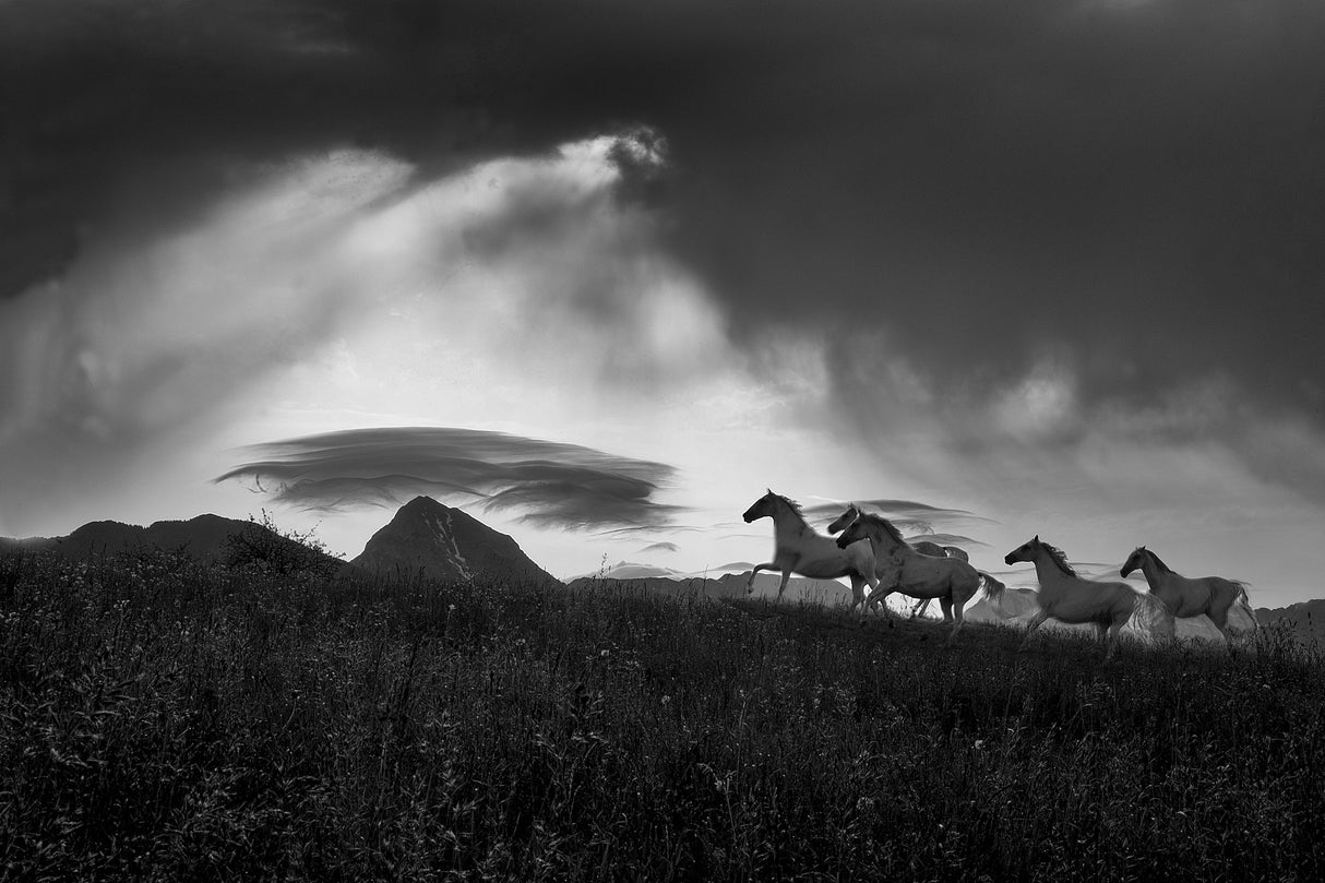 Before the storm Poster och Canvastavla
