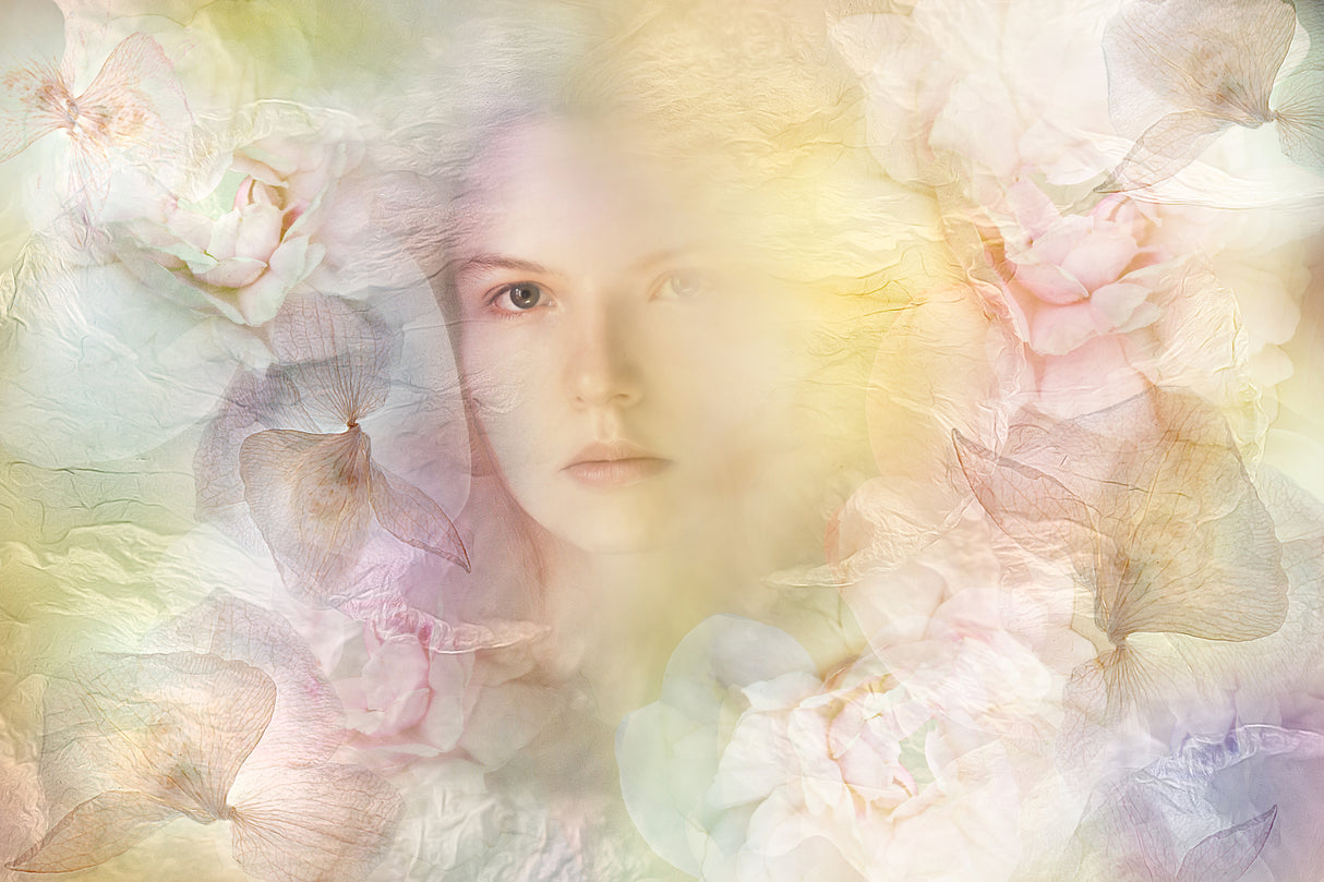 In the garden of pale blossoms Poster och Canvastavla