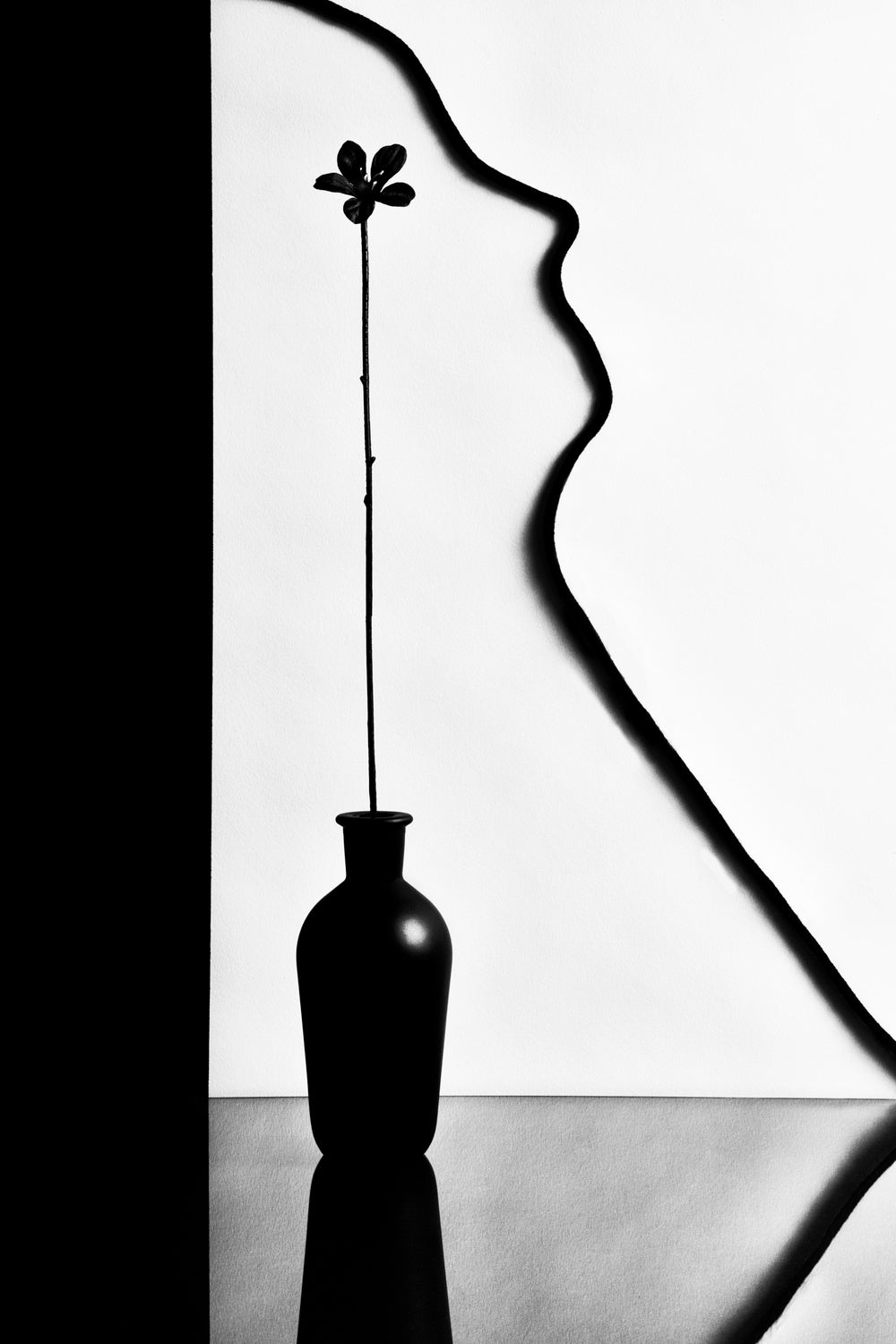 Poster och Canvastavla