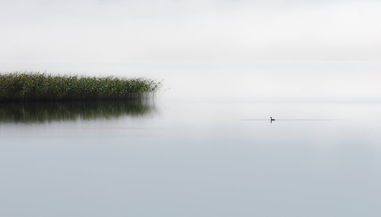 The lone fisher Poster och Canvastavla