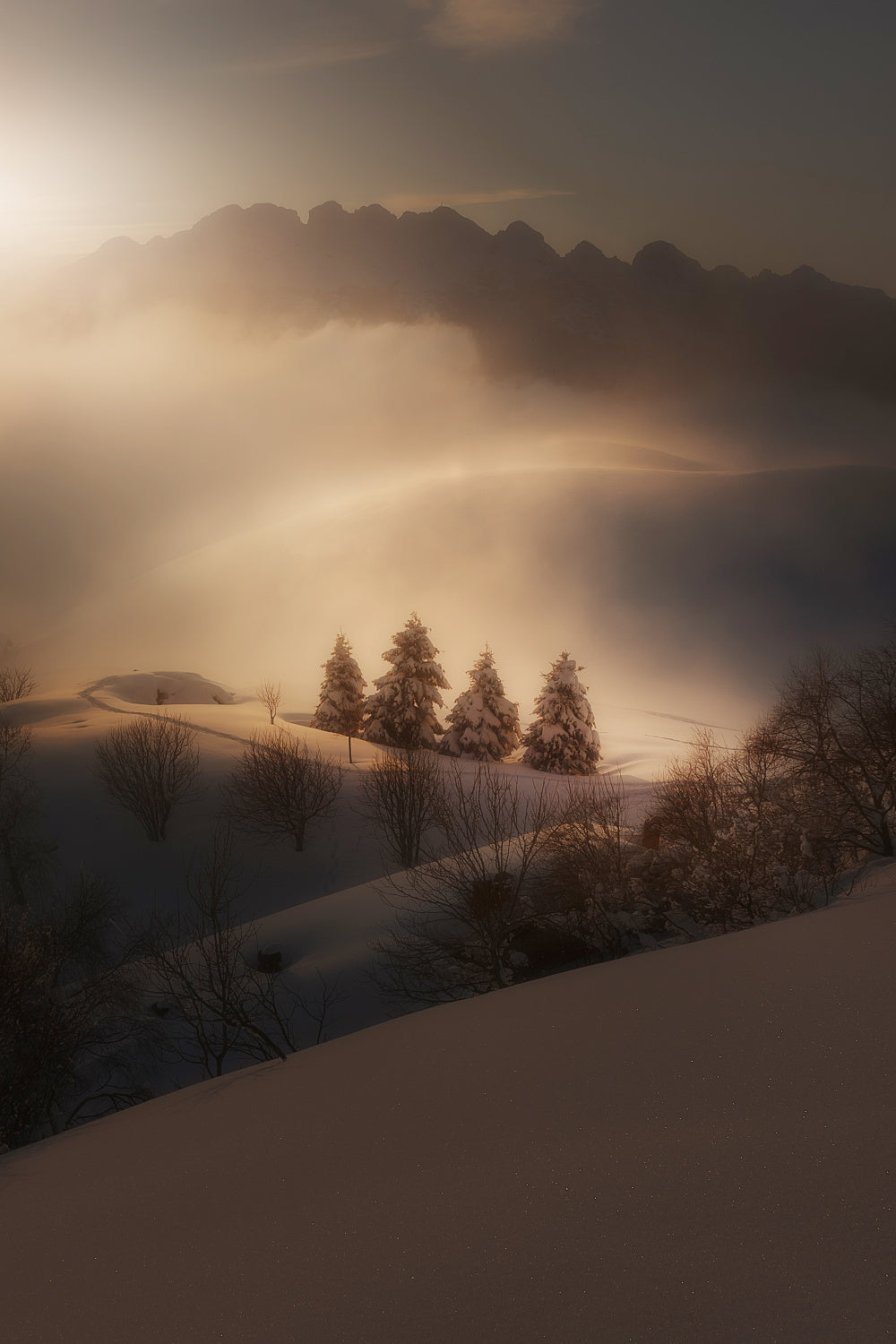 Winter Sunset Poster och Canvastavla