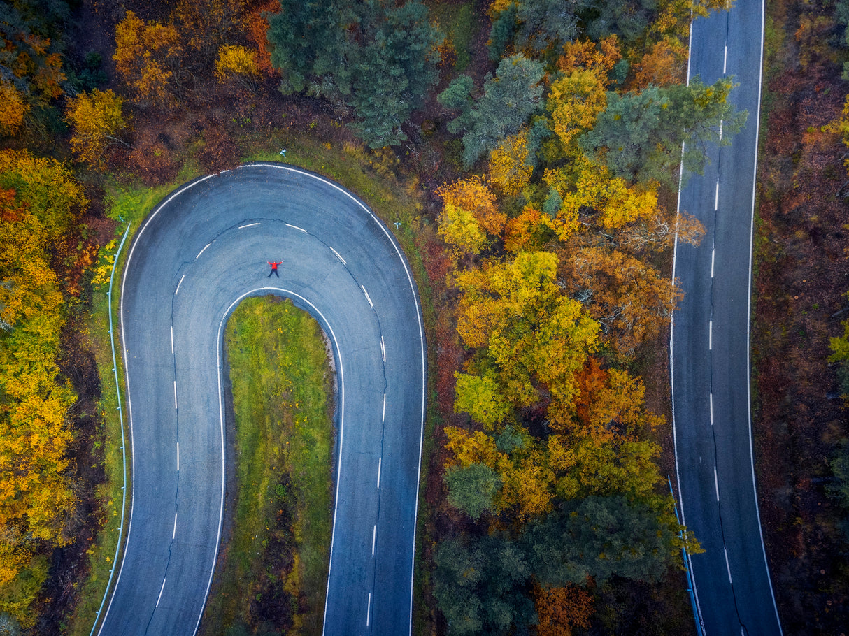 The road, my home Poster och Canvastavla