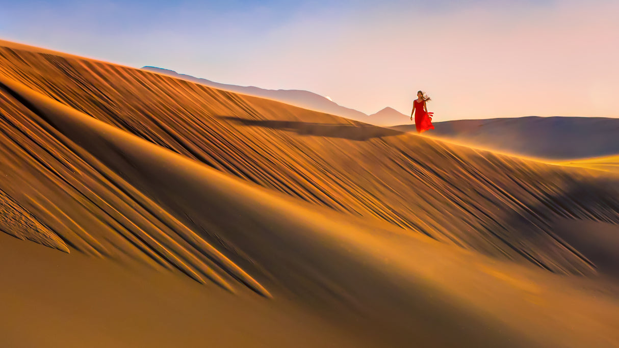 Desert Morning Poster och Canvastavla