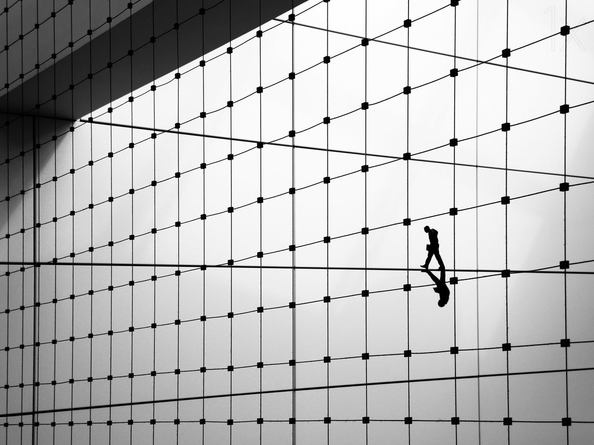 Walking the line Poster och Canvastavla