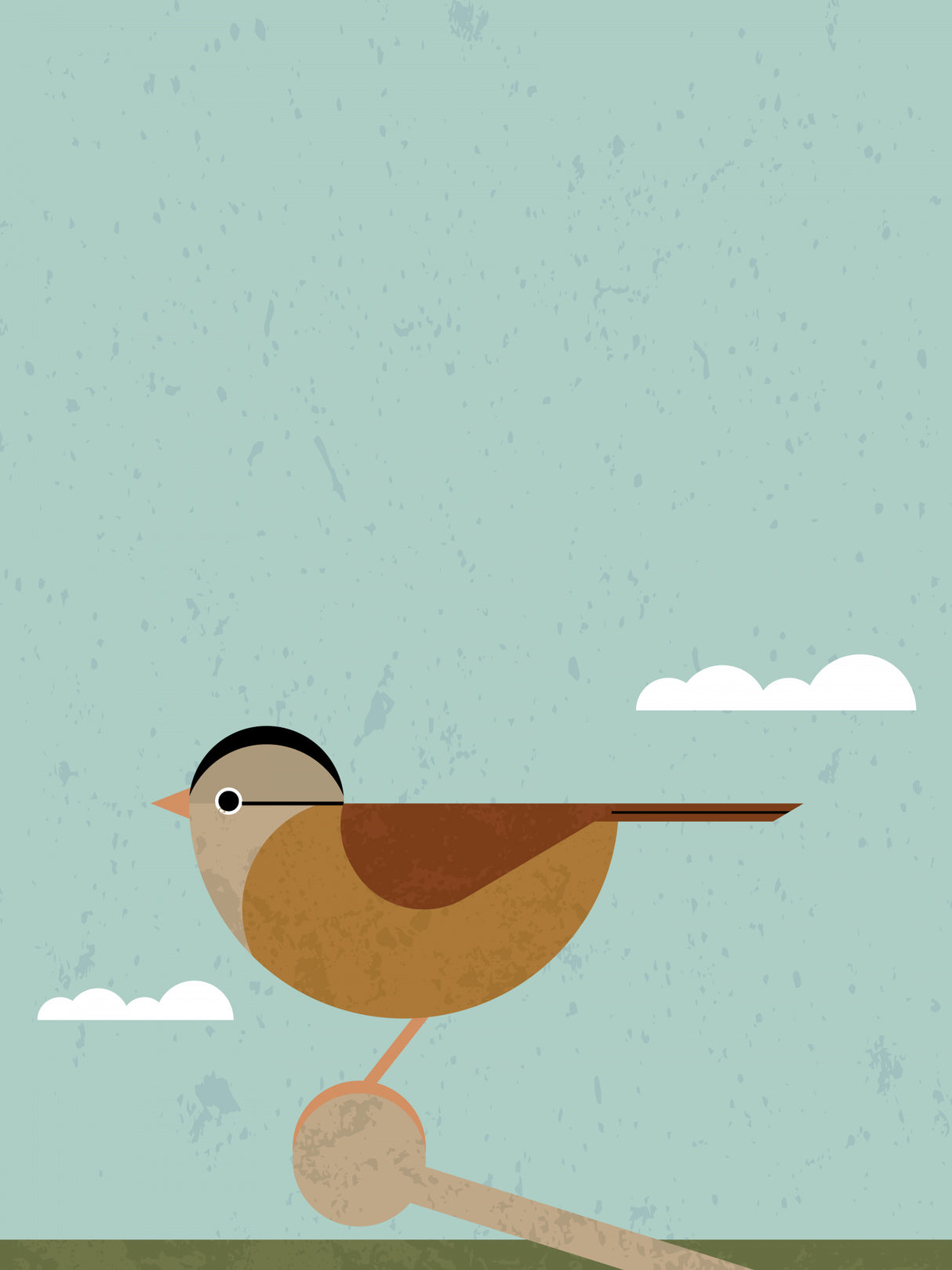 Sparrow 2 Poster och Canvastavla