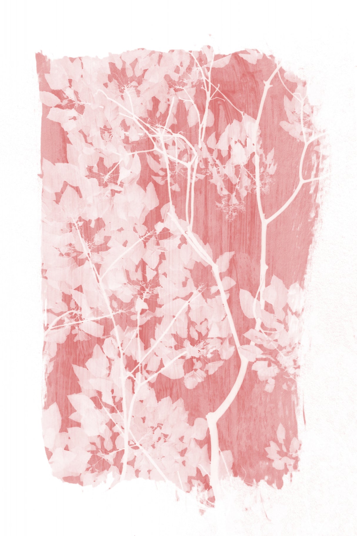 Pink Tree Foliage Silhouette Poster och Canvastavla