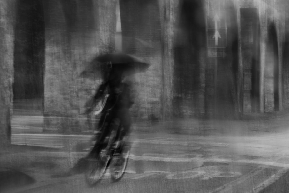 Under the rain Poster och Canvastavla