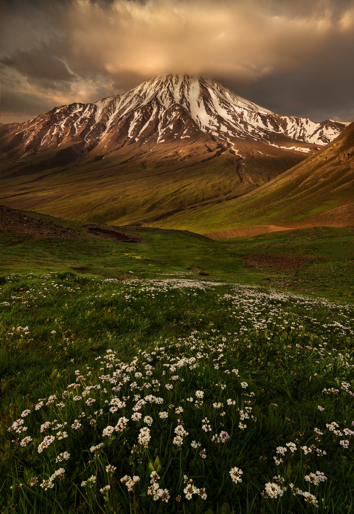 North face of Damavand Poster och Canvastavla