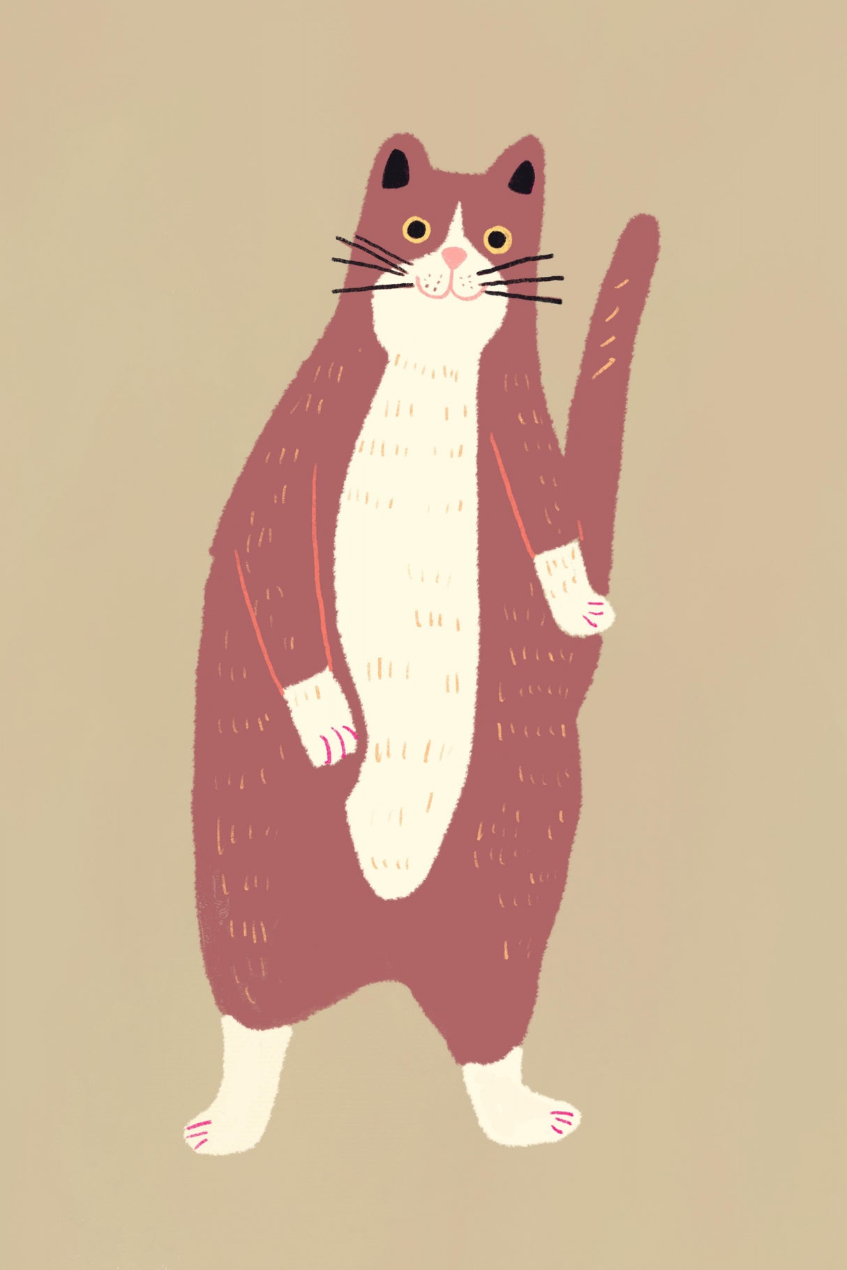 Brown and white cat Poster och Canvastavla
