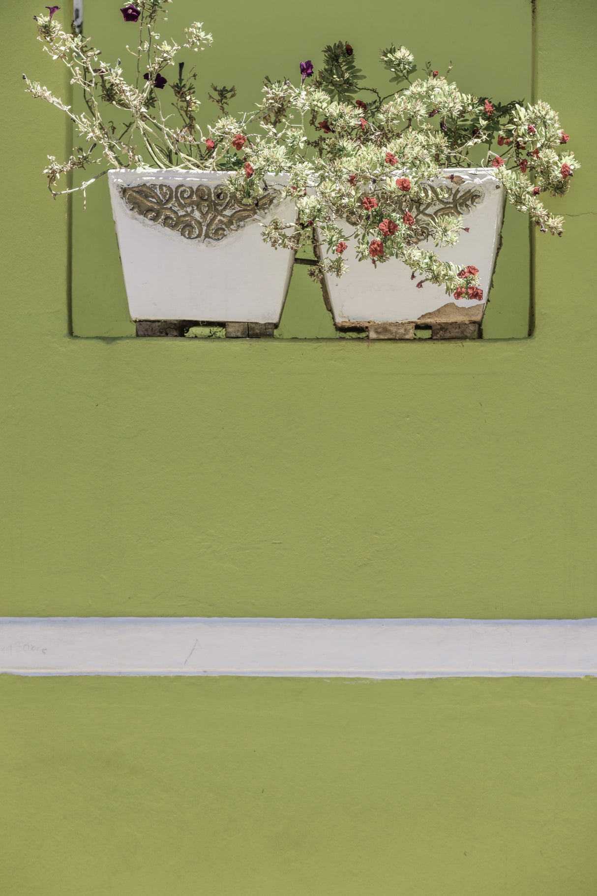 Wall Garden Poster och Canvastavla