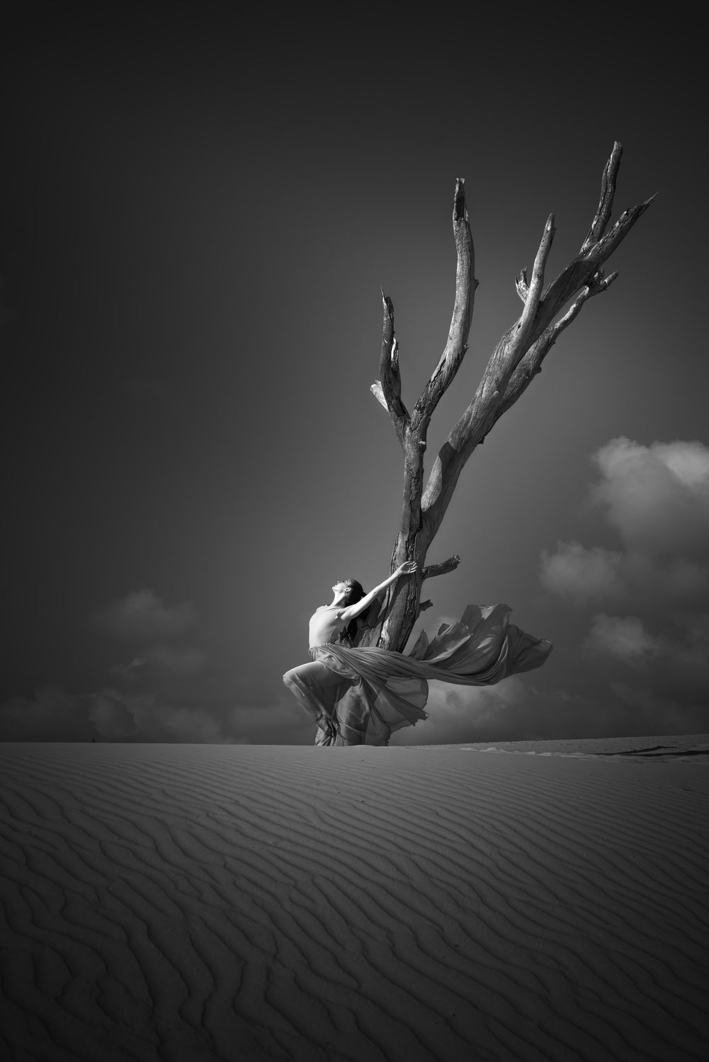 Alone in the sands Poster och Canvastavla