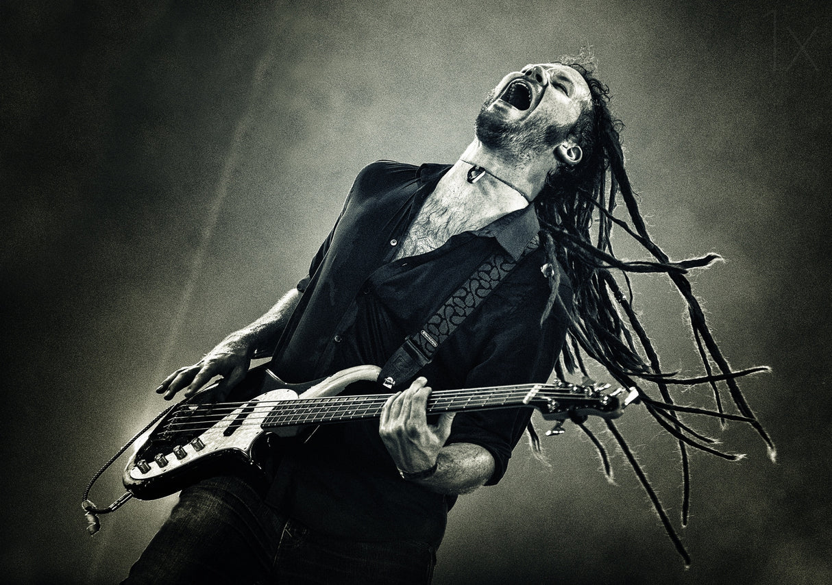 Slinging dreadlocks Poster och Canvastavla