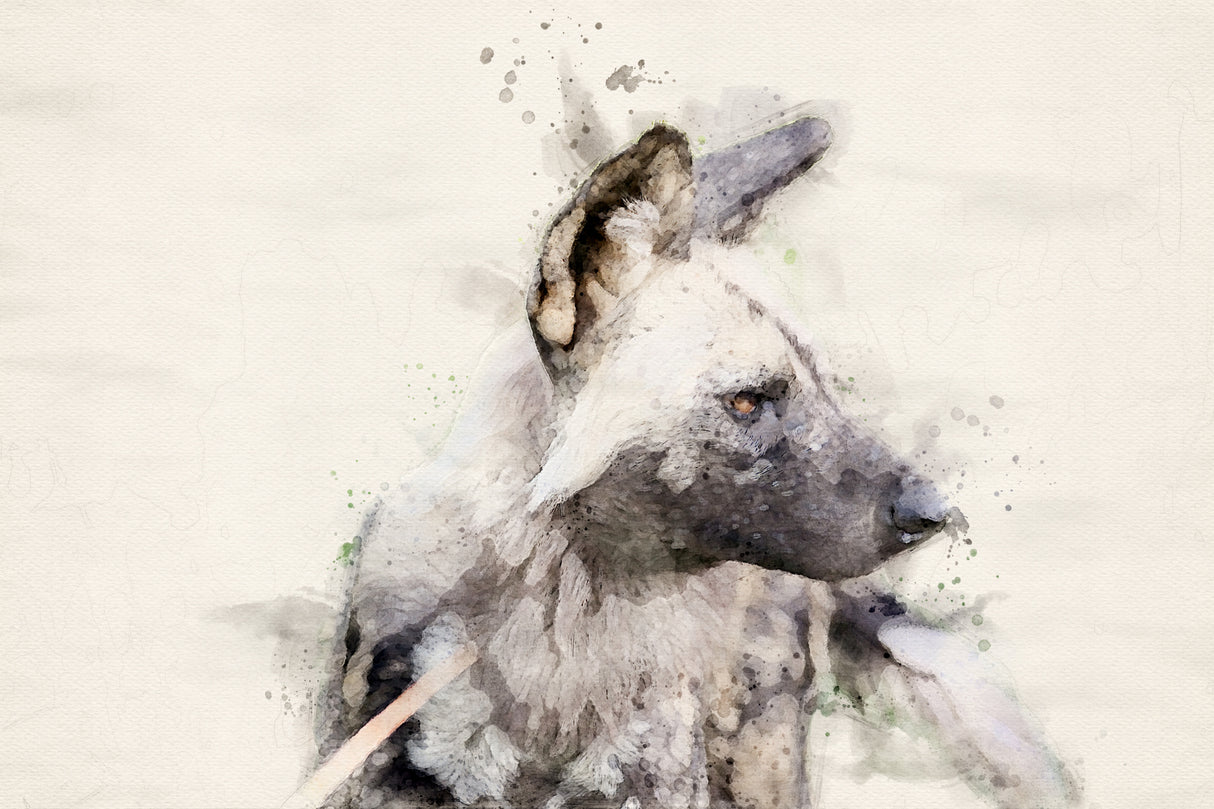 Abstract African Wild Dog Watercolor Art Poster och Canvastavla