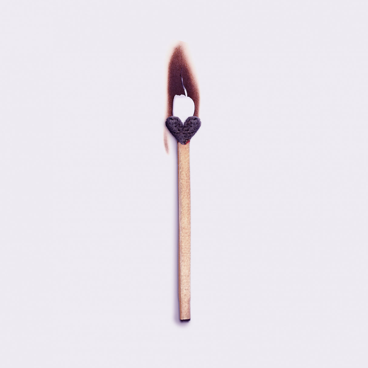 Burned love Poster och Canvastavla