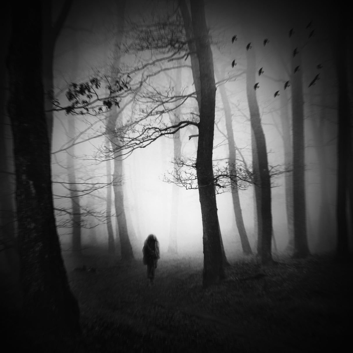 Between the light and the dark Poster och Canvastavla