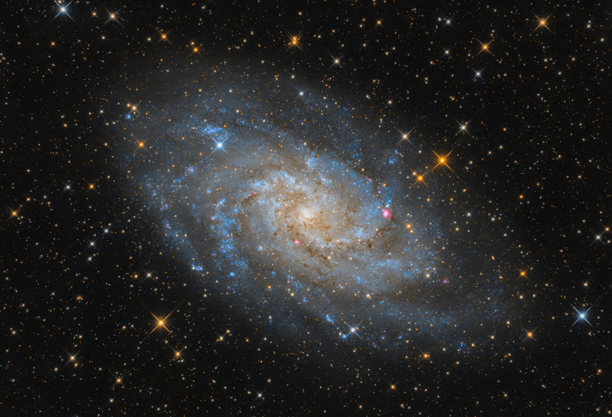 The Triangulum Galaxy - M33 Poster och Canvastavla