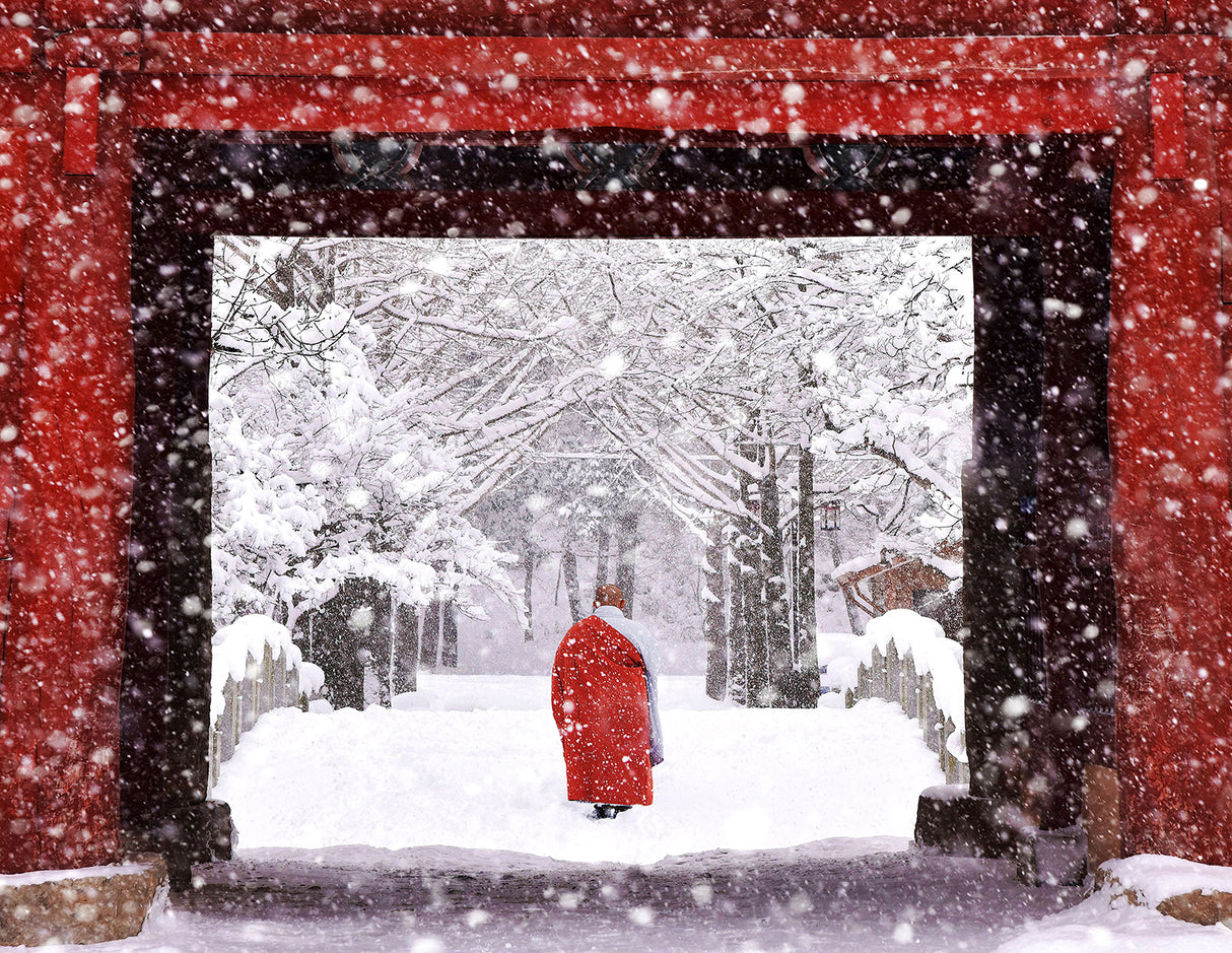Monk in Snowy Day Poster och Canvastavla