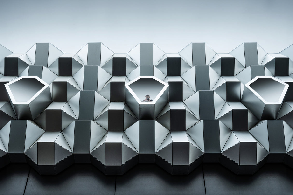 live in a honeycomb Poster och Canvastavla