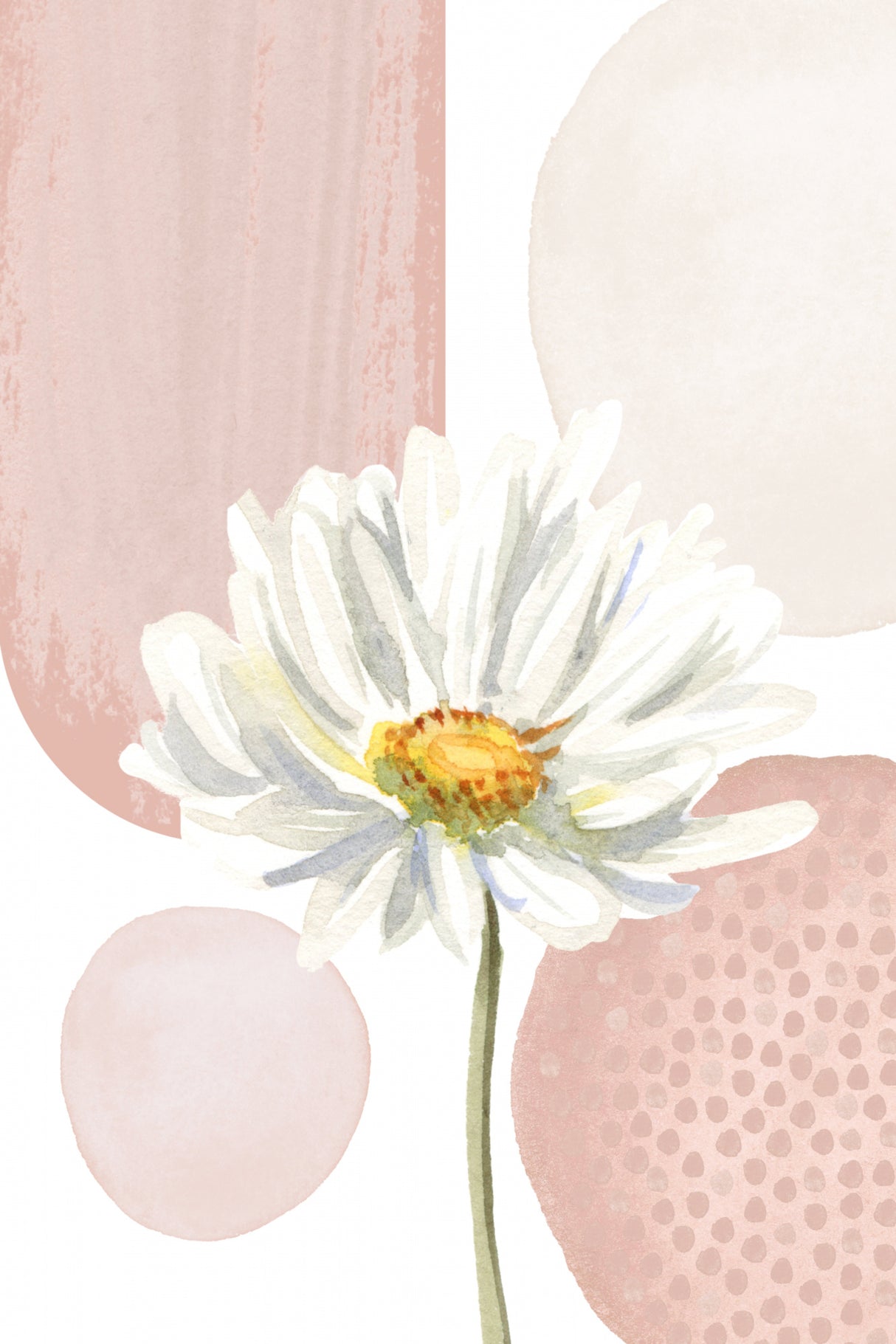 Daisy Pinks 1 Poster och Canvastavla