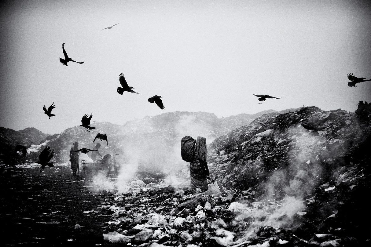 Life on garbage dump yard III Poster och Canvastavla