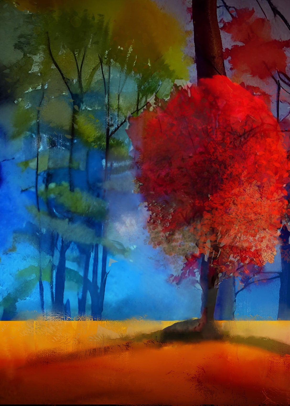 Flamboyant Red Tree Poster och Canvastavla