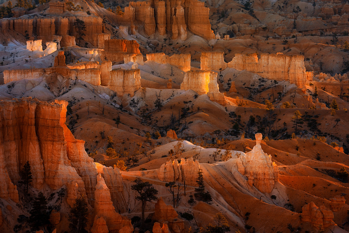 Bright Hoodoos Poster och Canvastavla