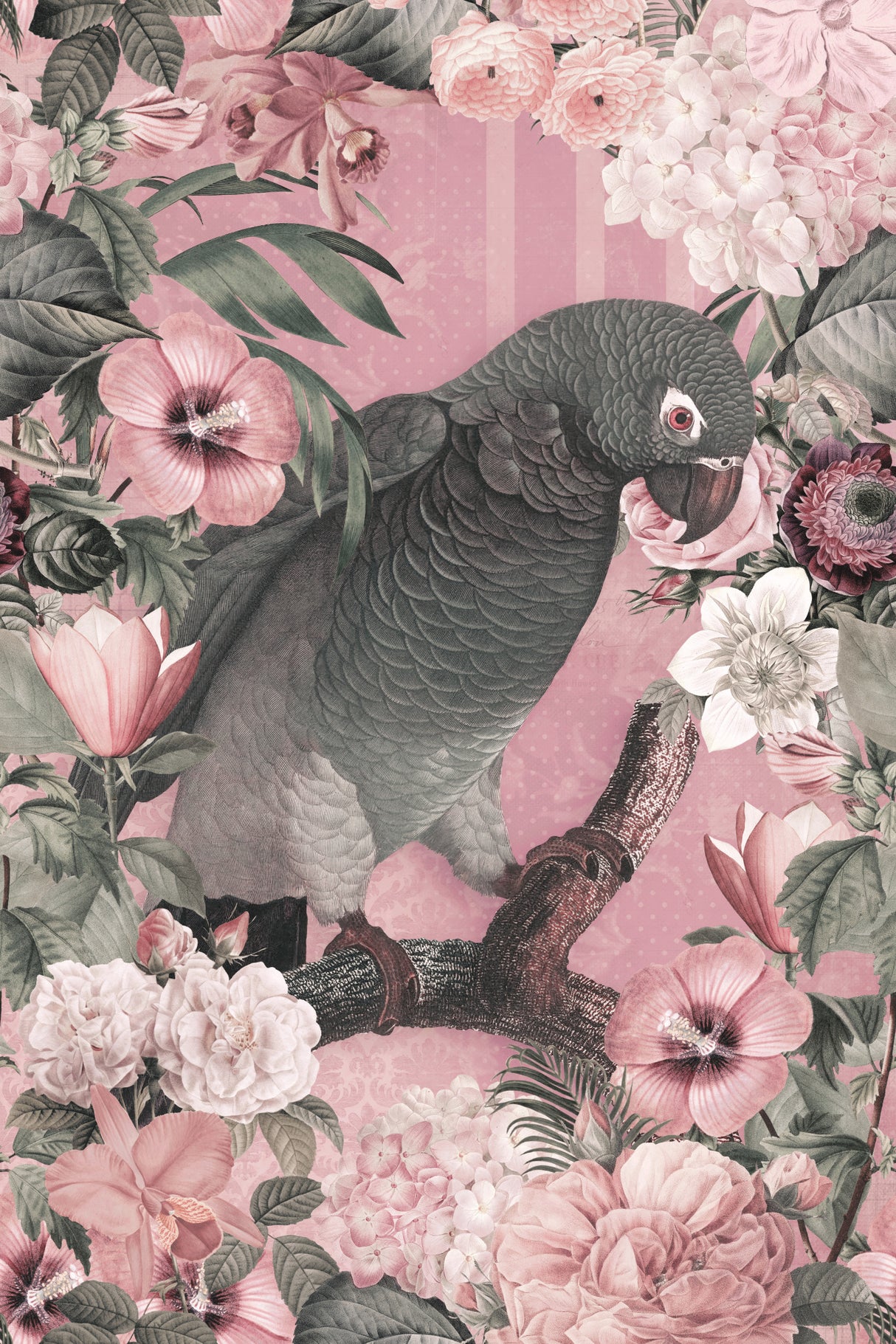 The Parrots Paradise Garden 3 Pastel Pink Poster och Canvastavla